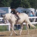 Bubba enjoys showing. He is very easy going and chooses favorite students. A big hug after a walk trot class goes far in Bubba's book!