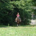 Flowers Bo Doc Gal aka Daisy ~
Daisy is just as happy on the sunny trails as in the puddles! She really enjoys her work outs.  Students are lining up to lesson on her! 