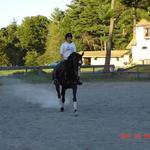 Zelda is making new friends. She jumped 2'6" with a student today and loved it. It was a toss up as to who looked happier the kid or the horse!