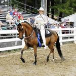 Western Star Galaxy aka Alex currently in training Western, Hunt Seat, and Equitation Patterns (Available for Lease)