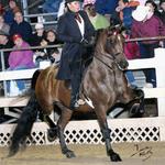 Riding Riley is a rush. He is very deceiving when you see him lunge or on the ground....you think hunter and maybe a little boring, but get in the saddle or buggy and he is ready to get up and go!