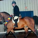 Ghazis Darkside aka Lordie Champion Arabian Sport Horse Under Saddle at the  CRAA Spring Derby Horse Show 2012